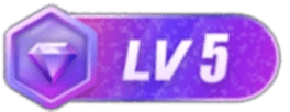 等级-LV5-小陌资源库